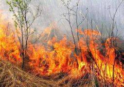 В Кокшетау сгорело восемь дачных домов
