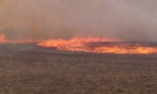 Степные пожары охватили окраины Усть-Каменогорска