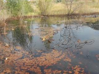 «Водоём» переработанного масла нашли в Усть-Каменогорске