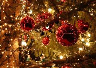 Огни новогодней ёлки скоро зажгутся в Усть-Каменогорске