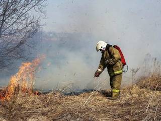 Больше 15 раз выезжали пожарные на тушение сухой травы только за выходные