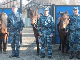 В летний период дачников Усть-Каменогорска будет охранять конная полиция