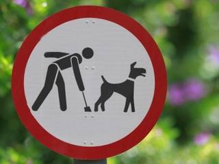 В парке Самал разрешат выгул собак