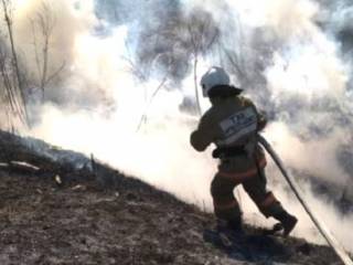В ВКО произошел самый масштабный в этом году степной пожар