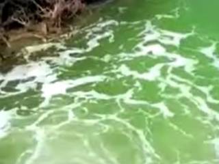 Зелёная река напугала жителей ВКО