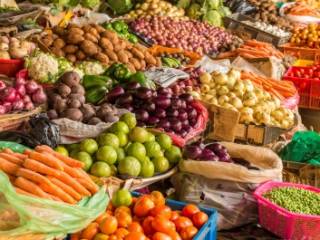 Министр очевидность: Султанов предрек, что овощи станут дешевле осенью