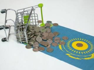 Казахстанские депутаты хотят, чтобы зарплата поспевала за ростом цен