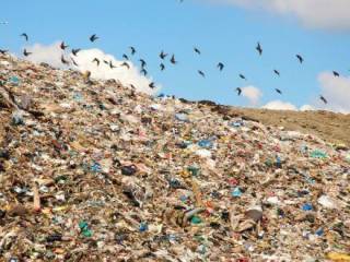 Экоактивисты хотят запретить строительство мусоросжигающего завода в Усть-Каменогорске