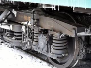 Каждое пятое торможение поезда в ВКО происходит из-за наезда на скот