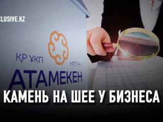 Предприниматели Казахстана требуют радикальных перемен в НПП «Атамекен»