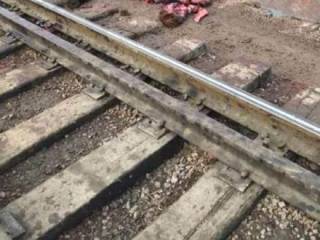 Поезд сбил девять лошадей в Павлодарской области