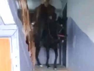 Мужчина на коне поднялся по лестнице на пятый этаж в Карагандинской области