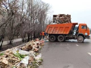 Торговцы цветами превратили Алматы в мусорную свалку