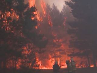 В Абайской области специально поджигают лес