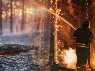 В Казахстане завершено расследование дела о пожаре в Абайской области с 15 погибшими