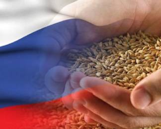 В Казахстане предложили сделать Продкорпорацию единым импортером российского зерна
