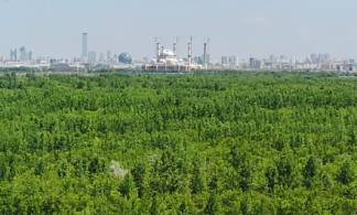 «Мы смогли это сделать» - Нурсултан Назарбаев о зеленом поясе вокруг столицы