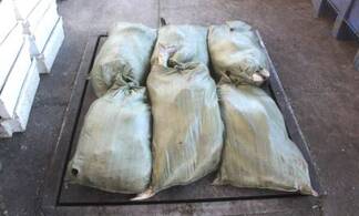 Полицейские ВКО изъяли более полутоны контрабандной рыбы