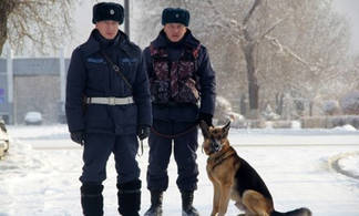 Гвардейцы в Усть-Каменогорске поймали насильника