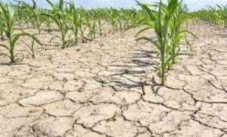 Каким районам Казахстана грозит экстремальная засуха