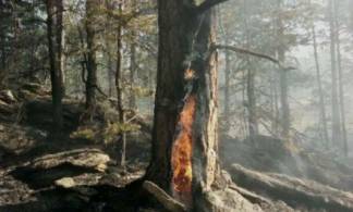 В Уланском районе в труднодоступной горной местности горел лес