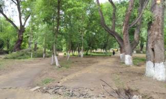 Два старых сквера обустроят в Усть-Каменогорске