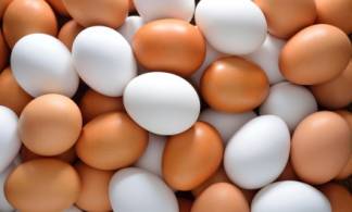 В нескольких областях яйца подорожали на 20-30%