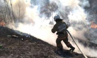 В ВКО произошел самый масштабный в этом году степной пожар