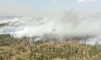 Режим ЧС в Карагандинской области объявлен из-за пожара в природном парке