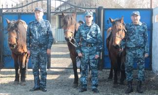 В летний период дачников Усть-Каменогорска будет охранять конная полиция