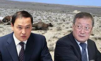 «Кабинетные министры»: что не так с Минсельхозом Казахстана?