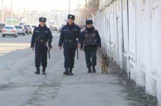 Патрульная собака задержала вора в Усть-Каменогорске
