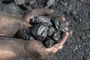 Проблемы качества и количества угля подняли общественники ВКО