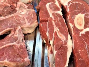Казахстанские ученые создали экспресс-метод обследования скота и мяса