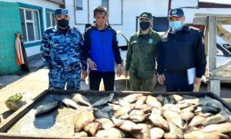 Около полутора тонн рыбы выловили браконьеры в ВКО