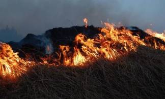 Пожар вспыхнул в Наурзумском заповеднике Костанайской области