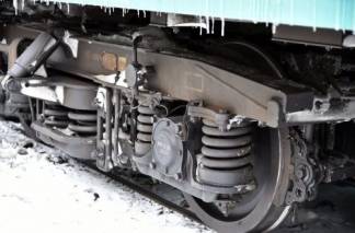 Каждое пятое торможение поезда в ВКО происходит из-за наезда на скот