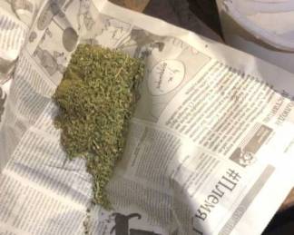 Более 1 кг марихуаны обнаружили полицейские ВКО на пасеке