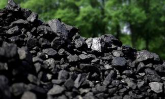 Продавать социальный уголь летом предложил аким города