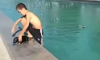 В Нур-Султане подросток пытался утопить щенка в фонтане