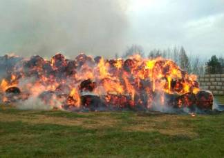 3 000 рулонов сена сгорело в страдающей от засухи и нехватки корма Кызылординской области