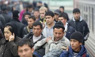 Почти полмиллиона мигрантов трудятся в Казахстане нелегально