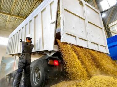 Россия заблокировала вывоз зерна в Казахстан