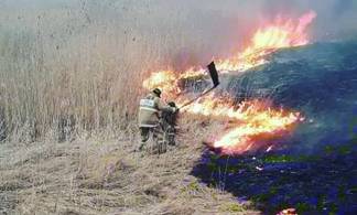 За сутки в Усть-Каменогорске сгорели автомобиль, камыш и нежилой дачный дом
