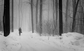 В Восточном Казахстане мужчина заблудился в лесу и провел на морозе два дня