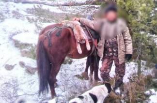 В ВКО выявлен факт незаконной охоты на рысь