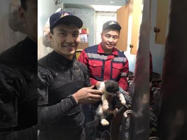 Котенка из вентиляционной шахты вытащили спасатели ДЧС ВКО