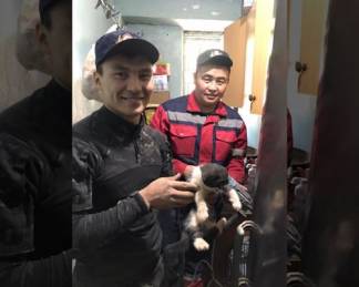 Котенка из вентиляционной шахты вытащили спасатели ДЧС ВКО