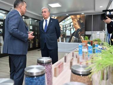 Новые гибриды подсолнуха и сорта сои показали Президенту на Востоке Казахстана