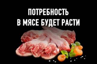 Куриный переполох: сколько будет стоить белое мясо в Казахстане?